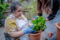 Knights Court - Supported Living
