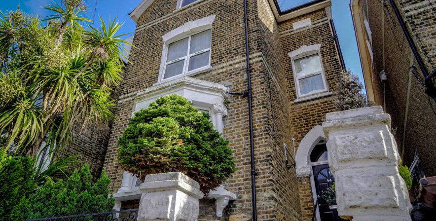Conifers - Manager: Anita Raymond Conifers - Manager: Anita Raymond